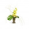 Sublime Orchid Arrangement